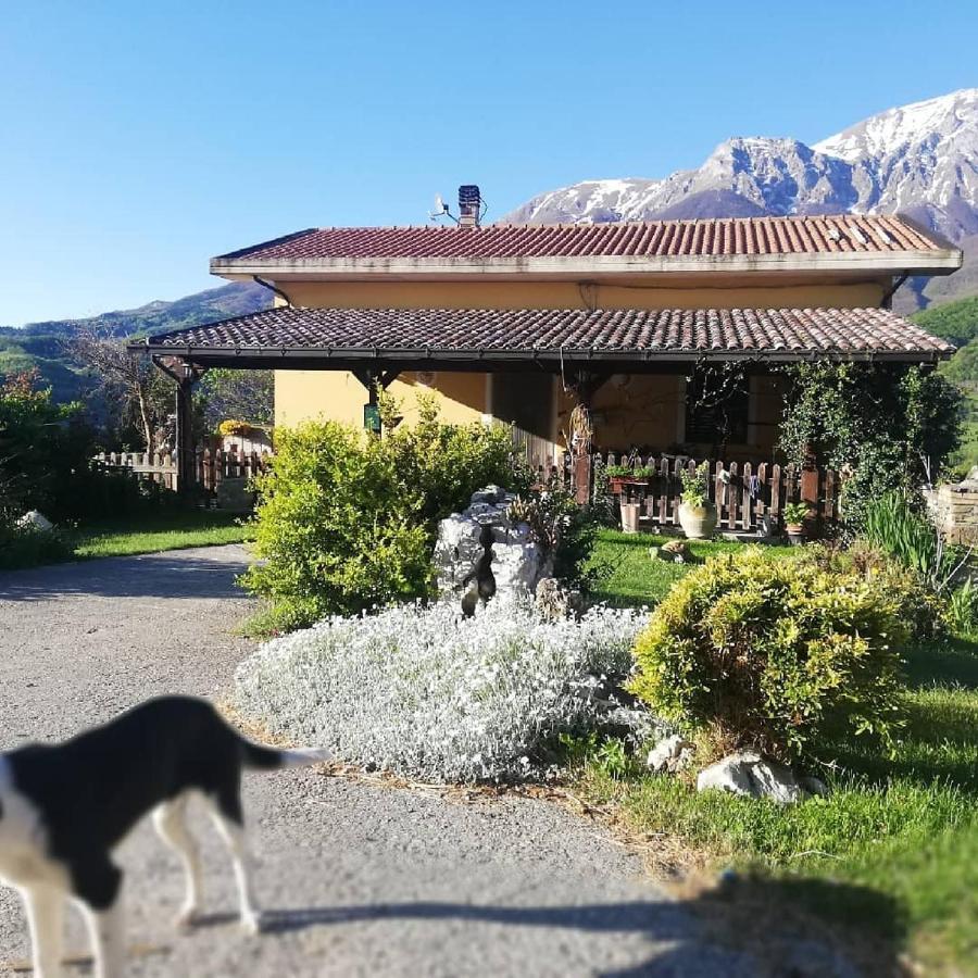B&B Le Ginestre Castelli Exterior photo