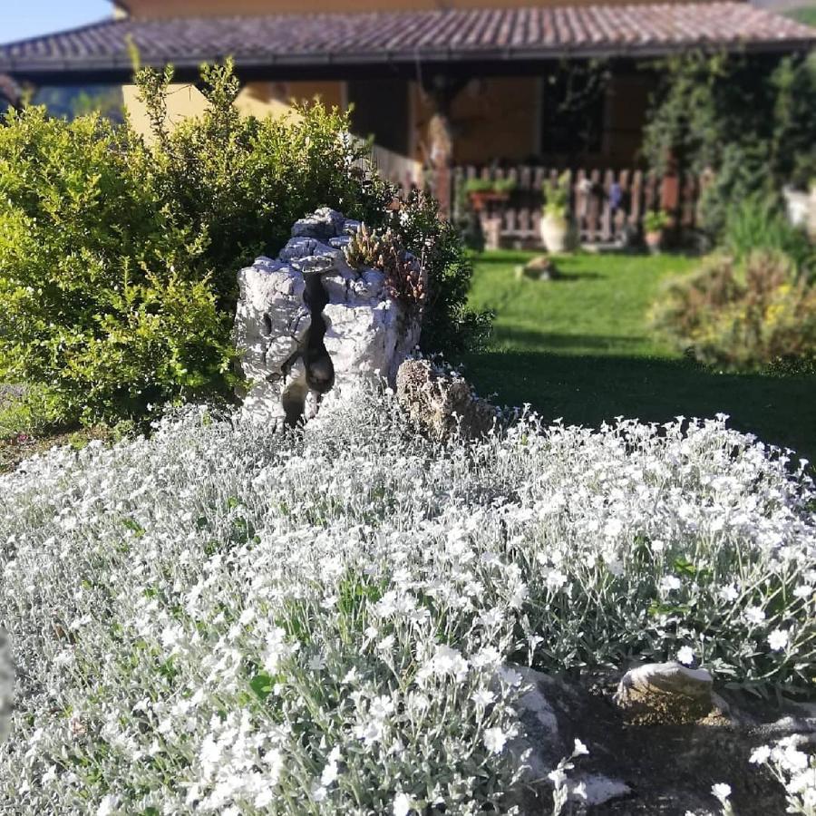 B&B Le Ginestre Castelli Exterior photo