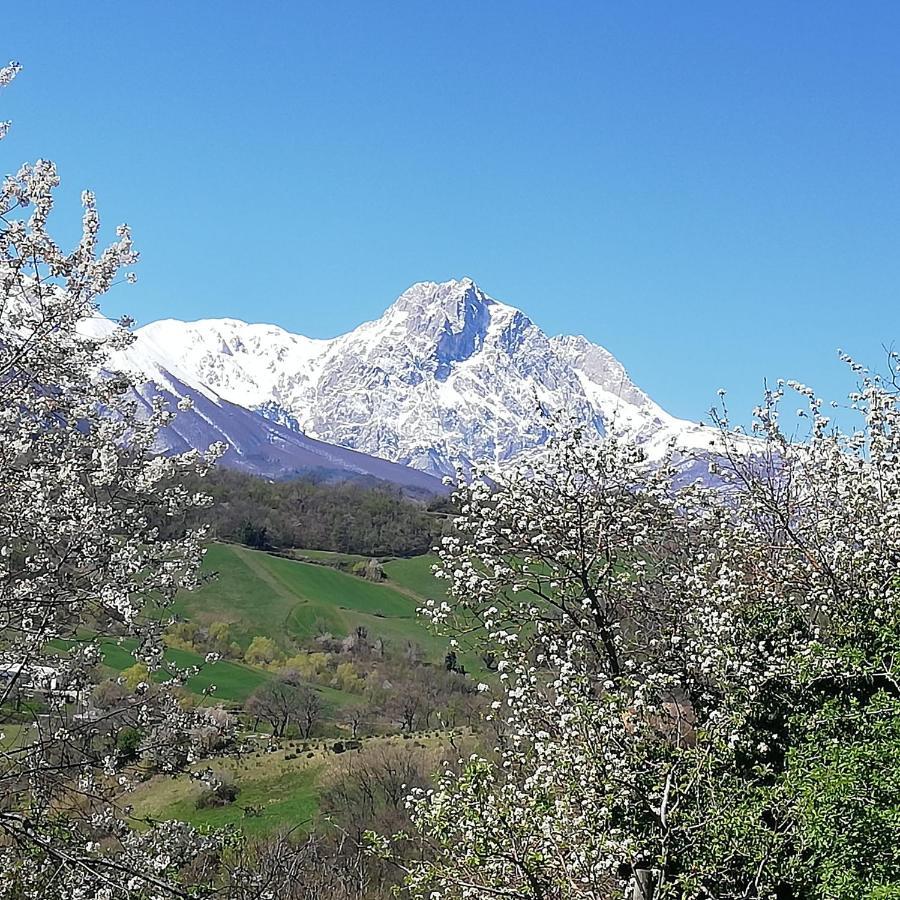B&B Le Ginestre Castelli Exterior photo