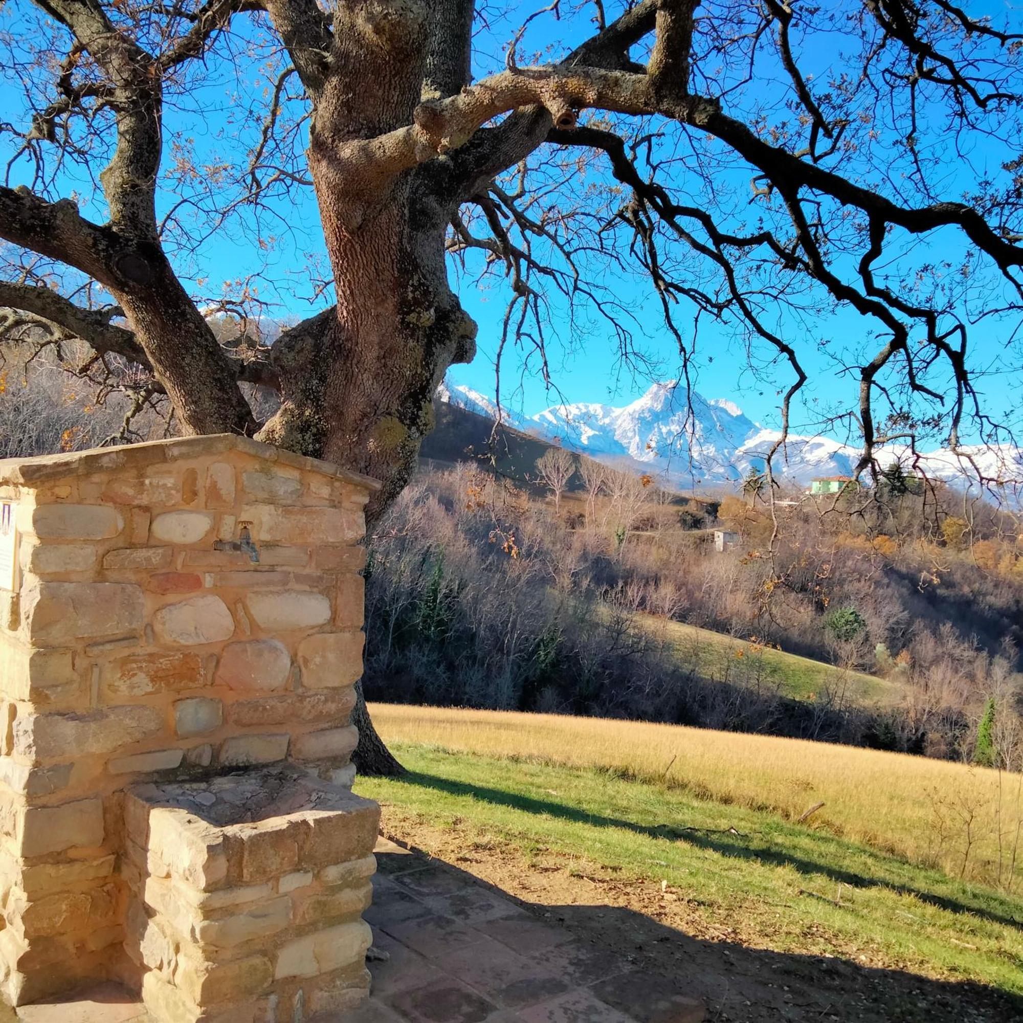 B&B Le Ginestre Castelli Exterior photo